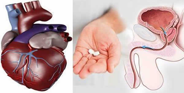 Rak prostate u vezi sa bolešću srca Rak prostate u vezi sa bolešću srca